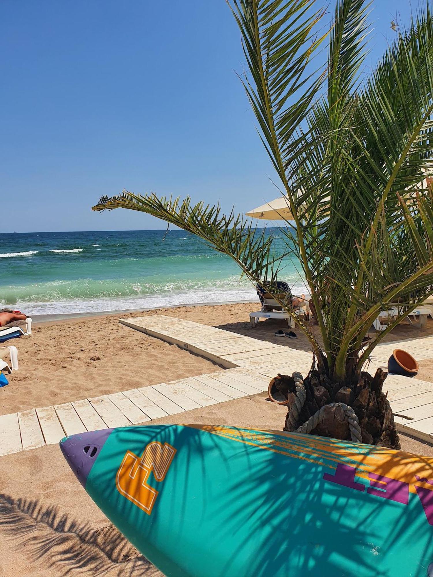 Andreas - Pool & Spa Beach Resort Năvodari المظهر الخارجي الصورة
